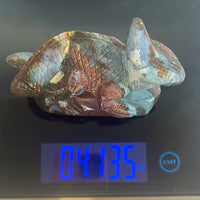 Ocean Jasper Lizard
